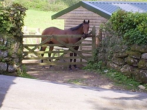 Lowertown Farm B&B Widecombe in the Moor 외부 사진